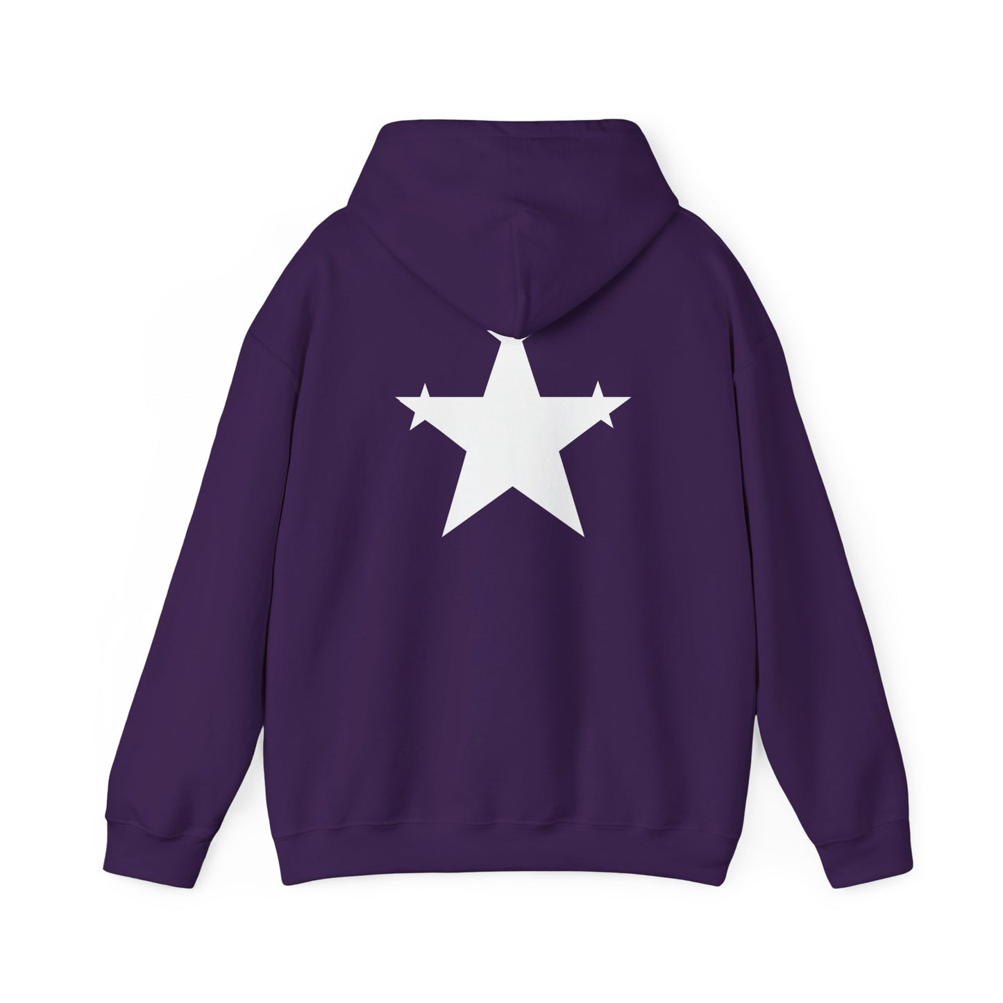 Starman Hoodie (3 Star Garment)