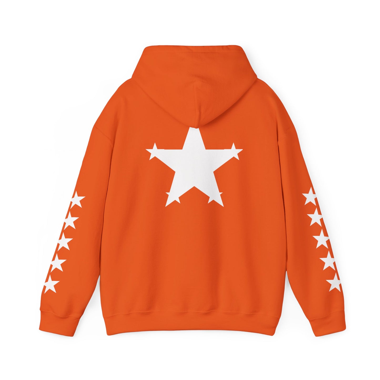 OvWorld Entertainment Hoodie (5 Star Garment)