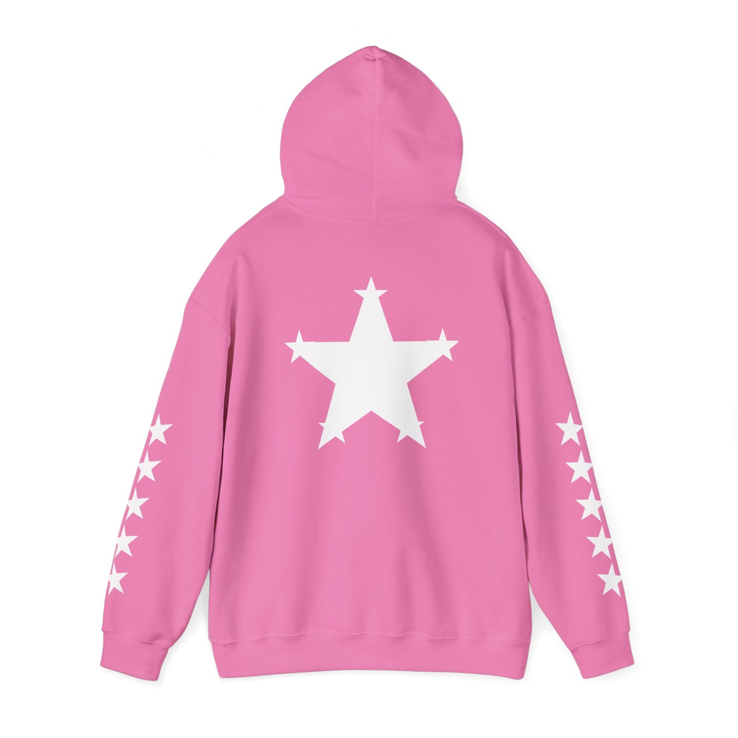 OvWorld Entertainment Hoodie (5 Star Garment)