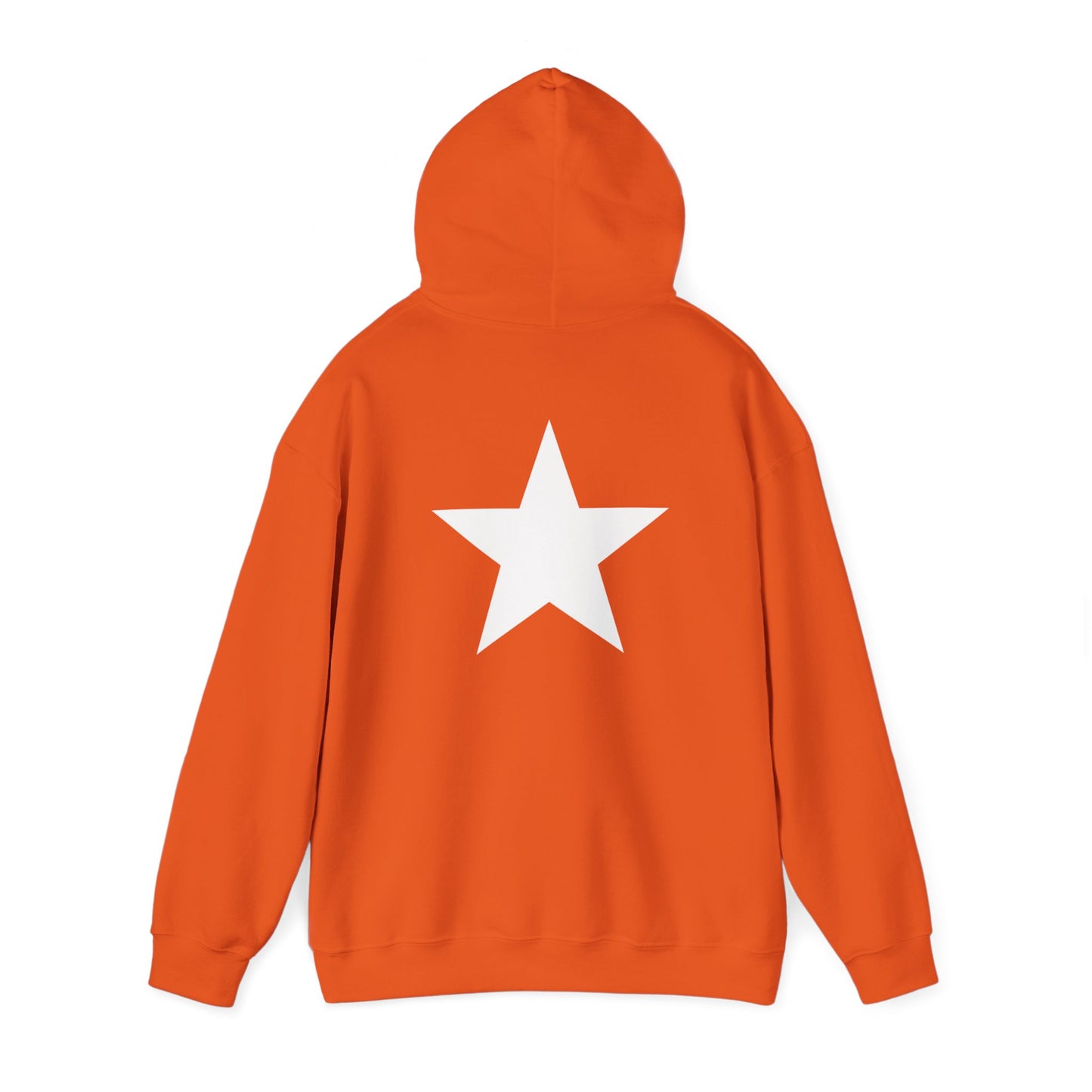 OvWorld Hoodie (1 Star Garment)