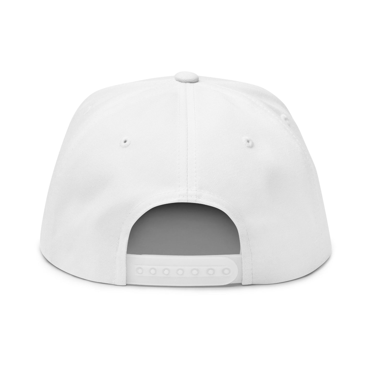 OvWorld V2 Cap (White)