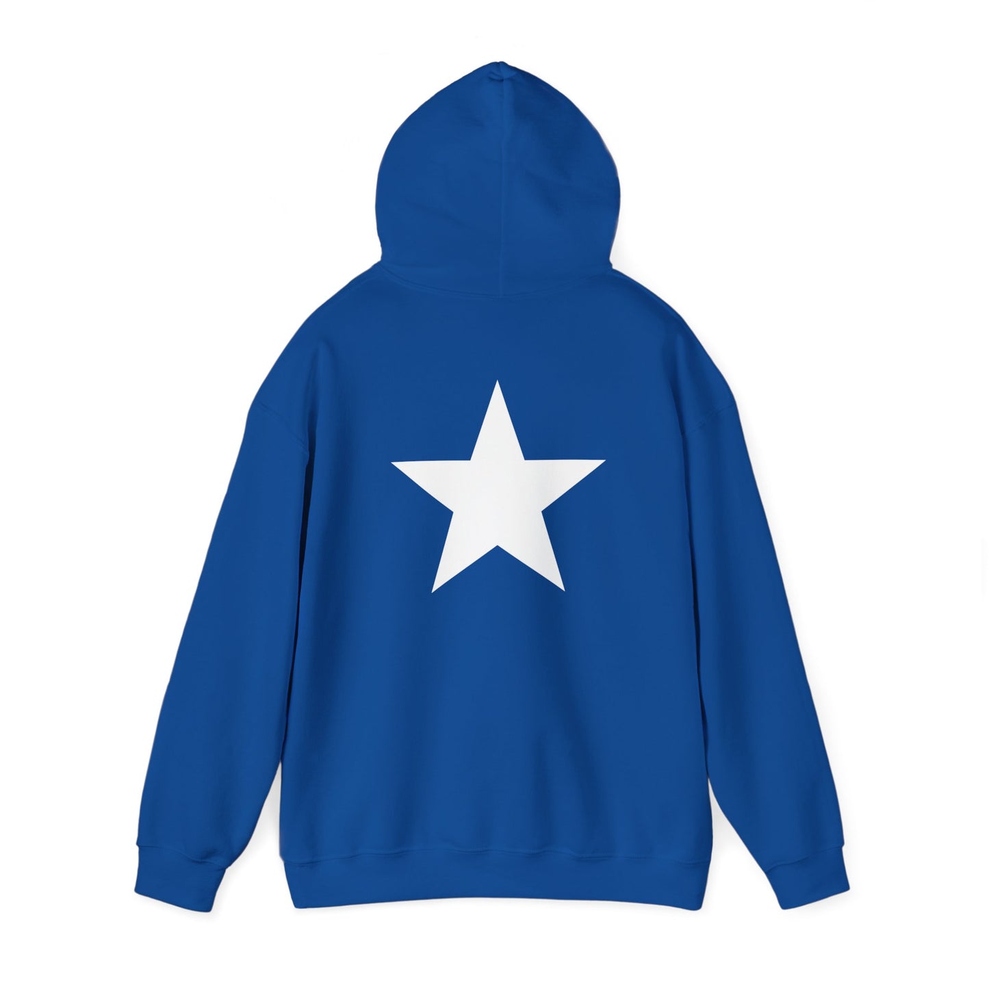 OvWorld Hoodie (1 Star Garment)