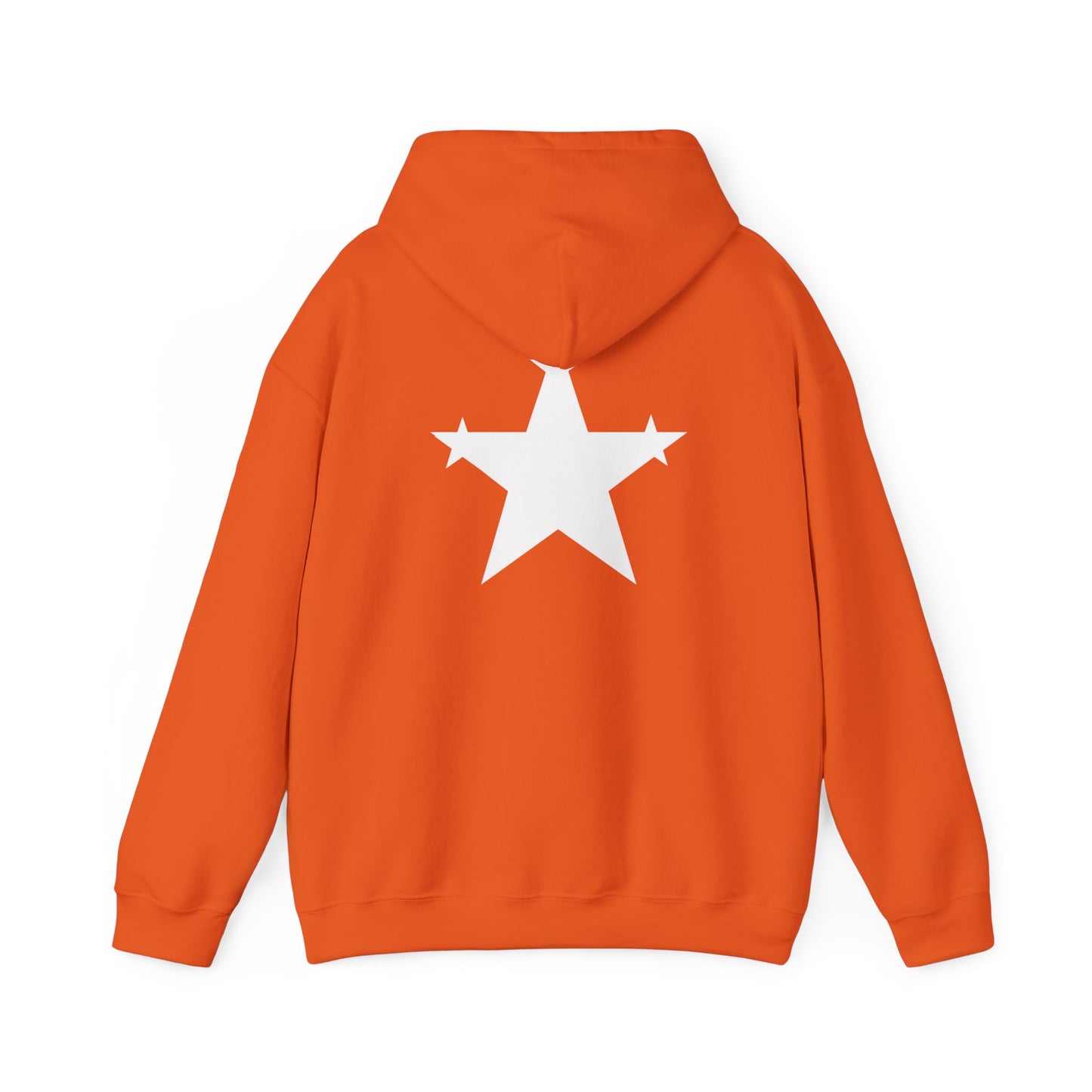 Starman Hoodie (3 Star Garment)