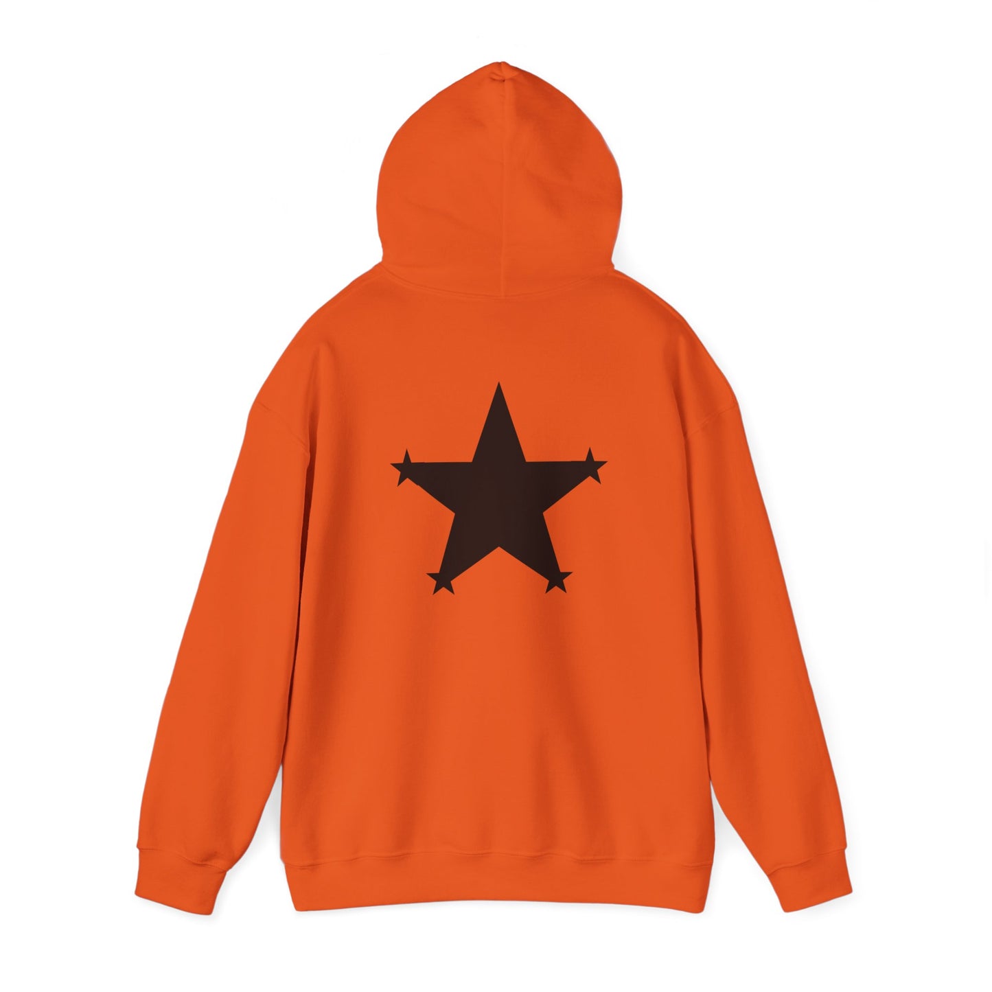 Star Child Hoodie (4 Star Garment)