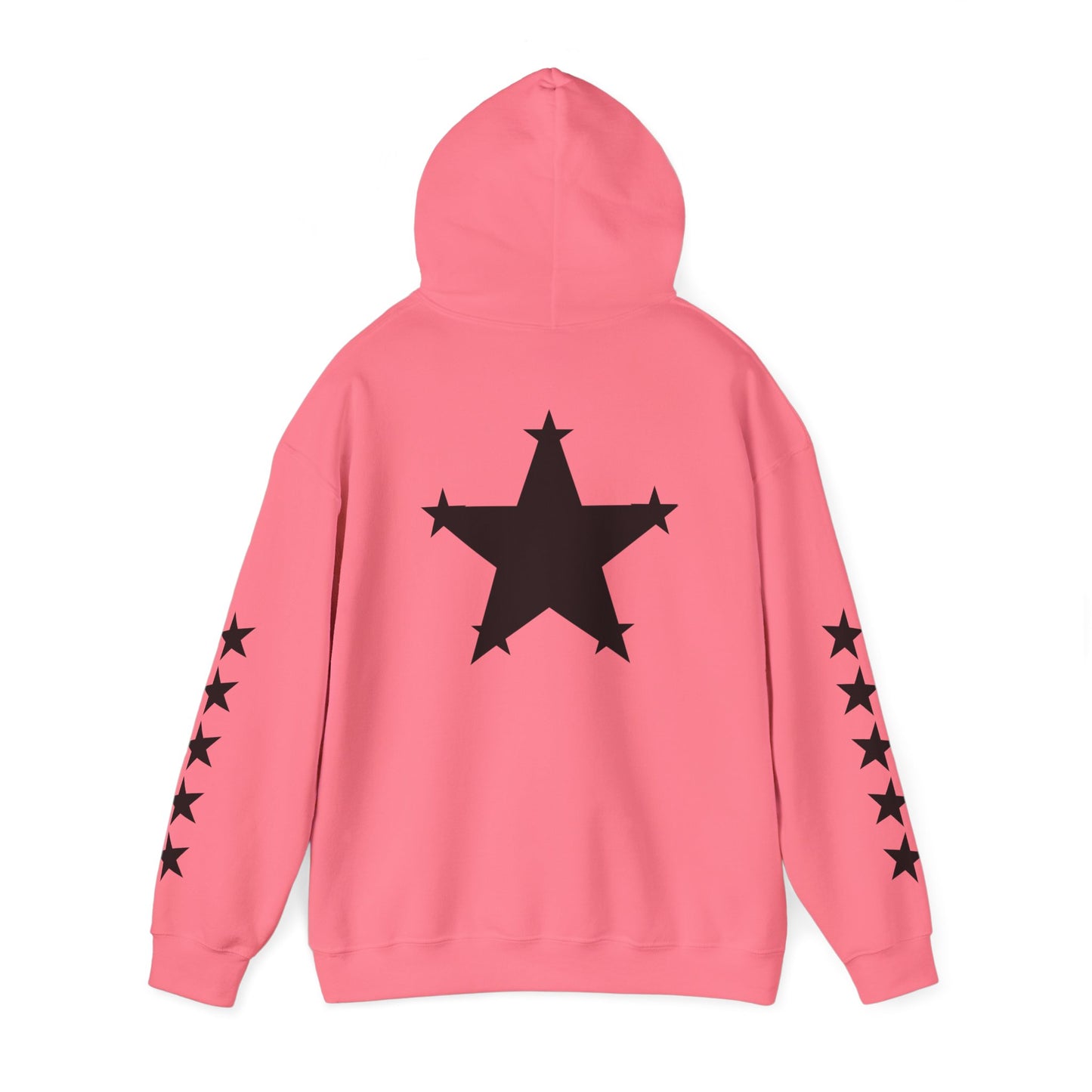 OvWorld Entertainment Hoodie (5 Star Garment)