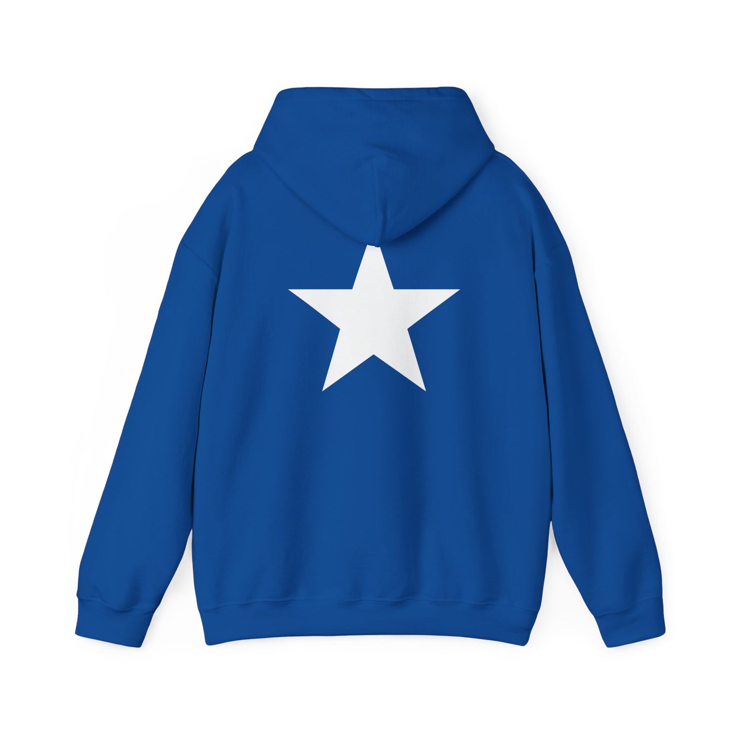 OvWorld Hoodie (1 Star Garment)