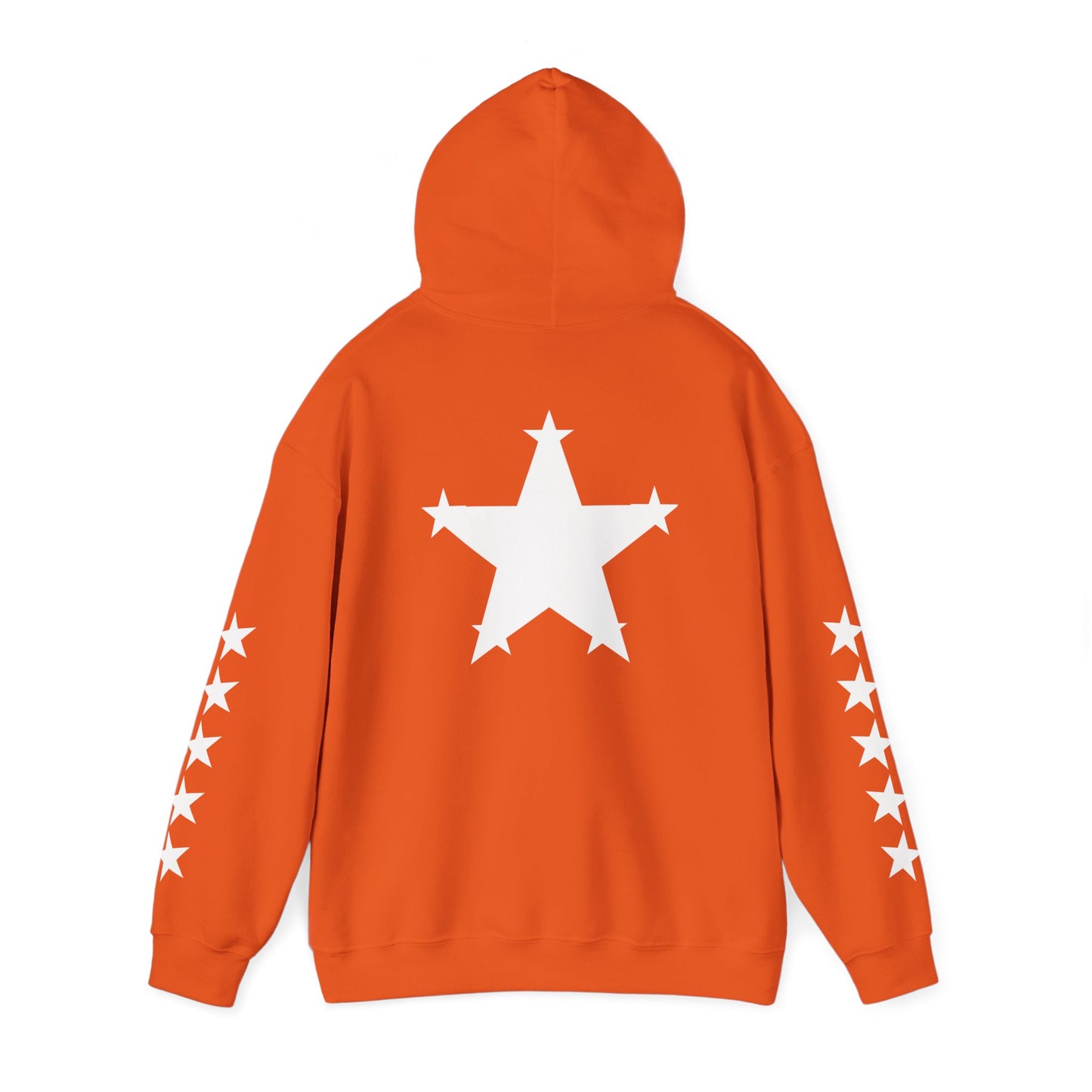 OvWorld Entertainment Hoodie (5 Star Garment)